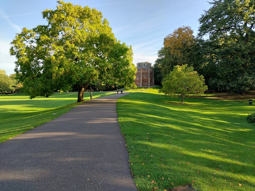 A paved pathway winds through a well-maintained park featuring lush green grass and a variety of mature trees with vibrant foliage. In the foreground, the asphalt surface is smooth with slight shading from the sunlight filtering through the trees. To the left, the grass extends towards open spaces, while on the right, neatly clipped grass and smaller trees create a landscaped environment. In the background, a large brick building is partially visible behind the canopy of trees, suggesting an urban park setting. The scene is calm and sunny, with clear blue skies overhead, and the overall environment appears clean and orderly. This setting, associated with outdoor public spaces, highlights the importance of maintaining tidy parks, which could benefit from regular rubbish removal or private waste collection services like those offered by Rubbish Removal Hounslow for managing garden waste or debris from such areas in conjunction with their rubbish services.