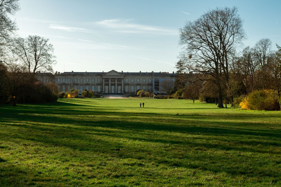 A large, stately building with classical architectural features such as columns and a symmetrical facade is visible in the background, set behind a expansive, well-maintained green lawn. Tall, leafless trees with intricate branch structures frame the scene on both sides, casting elongated shadows across the grass. A few small bushes with yellow and green foliage are scattered near the building, adding to the landscaped environment. The sky above is clear with a few wispy clouds and a faint contrail, indicating a bright day. The scene lacks any visible rubbish or waste materials, emphasizing the clean and orderly outdoor space, which could be typical of a historic park or estate where private or independent rubbish removal services might be employed for maintenance. The overall atmosphere is calm and peaceful, with natural lighting highlighting the textures of the grass, trees, and historic architecture, making it an ideal setting for contemplating the importance of effective waste management in maintaining such scenic outdoor environments, as supported by local providers like Rubbish Removal Hounslow.