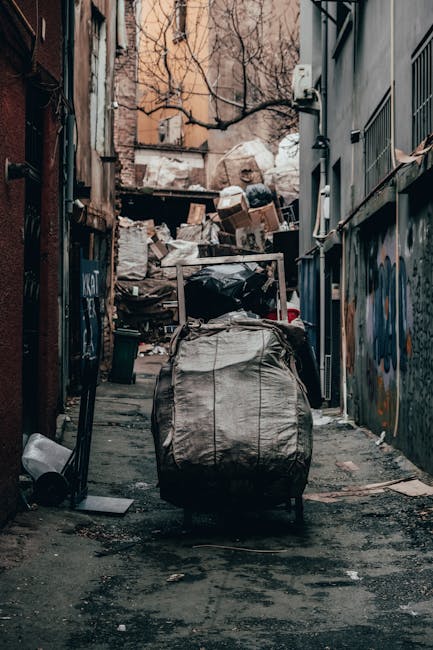 A narrow alleyway cluttered with accumulated waste and rubbish, featuring a large wheeled black and grey garbage bin in the foreground, surrounded by scattered debris on the asphalt ground. In the background, a substantial pile of cardboard boxes, paper, and black plastic bags is stacked against an overgrown wall, with bare tree branches visible above. The alley is enclosed by tall, weathered buildings with graffiti-covered walls on the right side and a mix of brick and concrete surfaces on the left, indicating an urban environment. The lighting appears subdued, suggesting an overcast day or late afternoon, emphasizing the unmanaged state of the space. This scene illustrates the type of waste accumulation that alternative rubbish removal services like Rubbish Removal Hounslow aim to address through on-site clearance and private disposal solutions, supporting efficient waste management in congested urban areas.